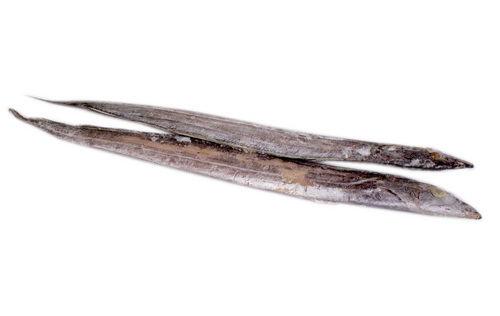 冻带鱼
